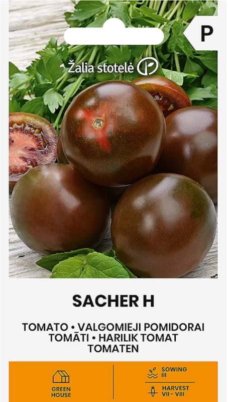 Pomidor Sacher H o wyjątkowo owocach w czekoladowym kolorze nasiona Žalia stotelė sklep rajogrodnika